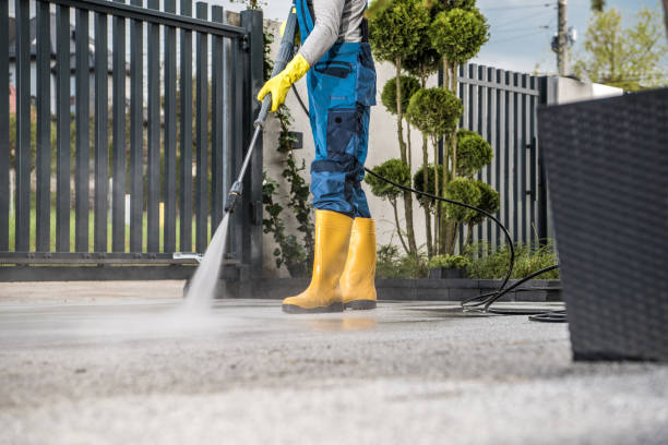 Best Driveway Pressure Washing  in Mayville, WI